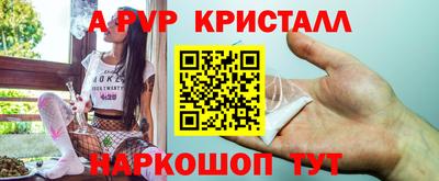 экстази Гай