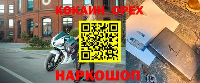 шишки Гатчина