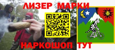 индика Гусев