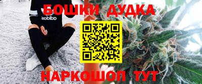 шишки Гатчина