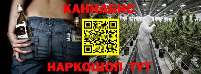 шишки Гатчина