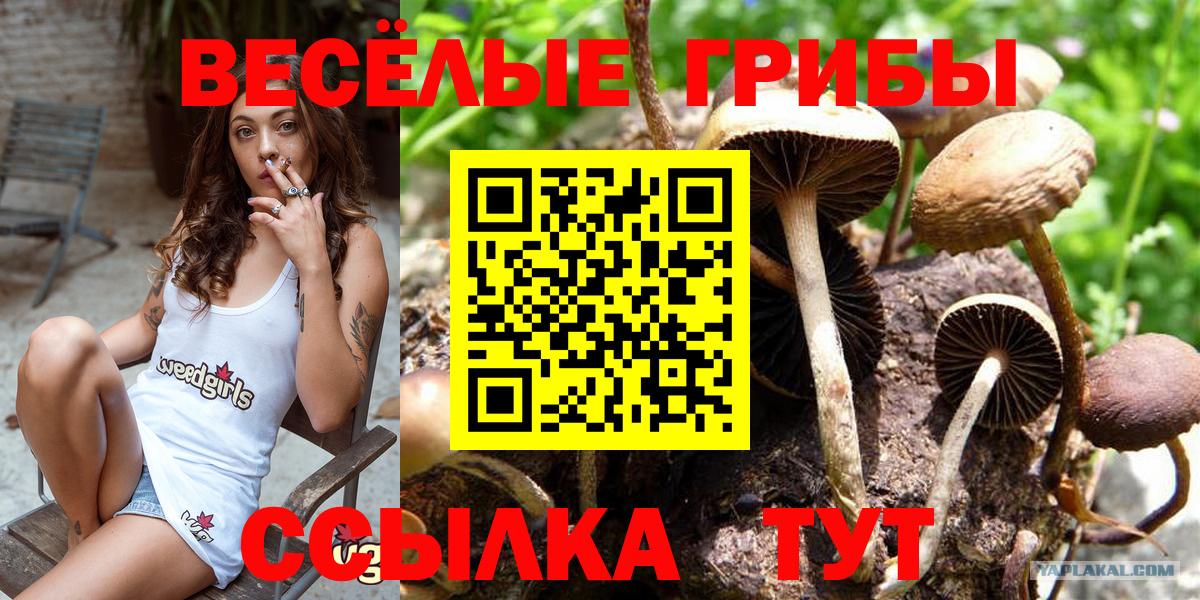 Нижний Новгород  Псилоцибиновые грибы мухоморы  купить   Вход с VPN 