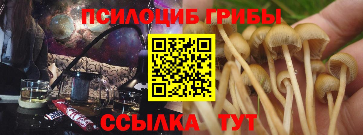Галлюциногенные грибы прущие грибы Нижний Новгород